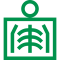 Radiologia digitale